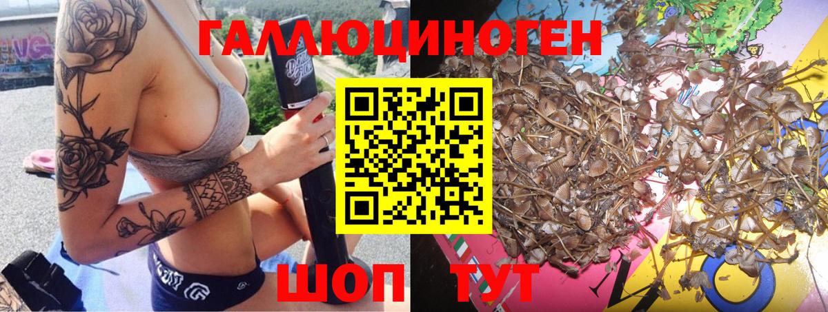 Дагестанские Огни  Галлюциногенные грибы MAGIC MUSHROOMS  купить закладку  Псилоцибиновые грибы GOLDEN TEACHER  Вход с VPN 